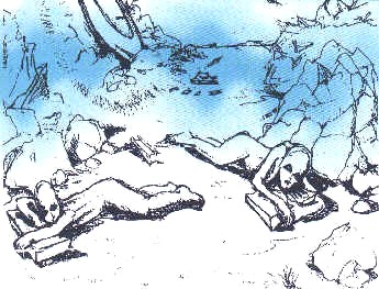 Ricostruzione della scena vista da Barnett